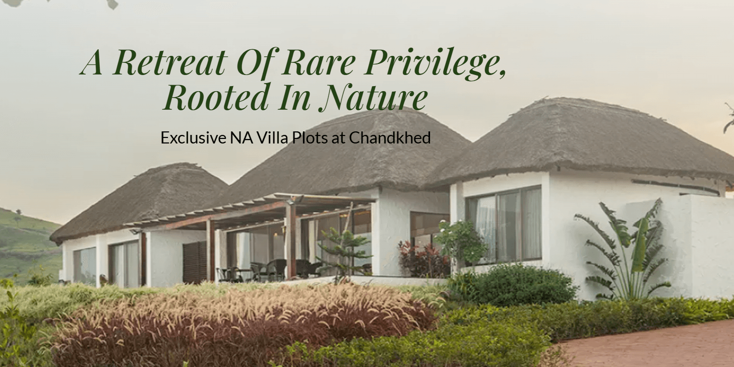 86 banayan tree