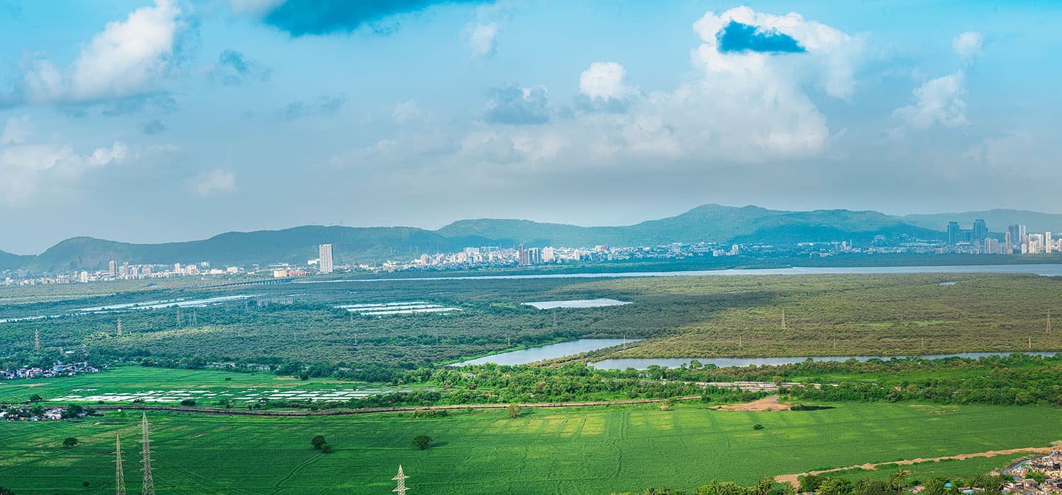 runwal forest